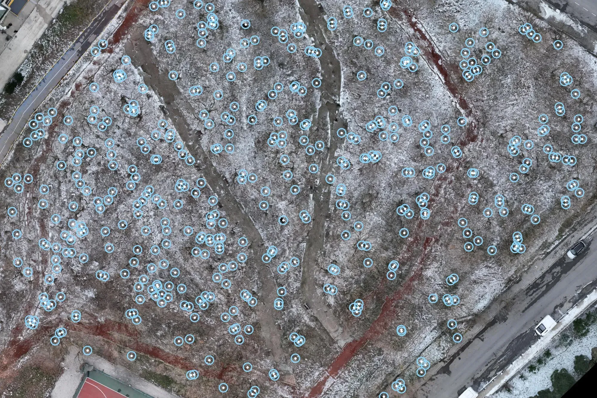 LiDAR tree count in a picnic area