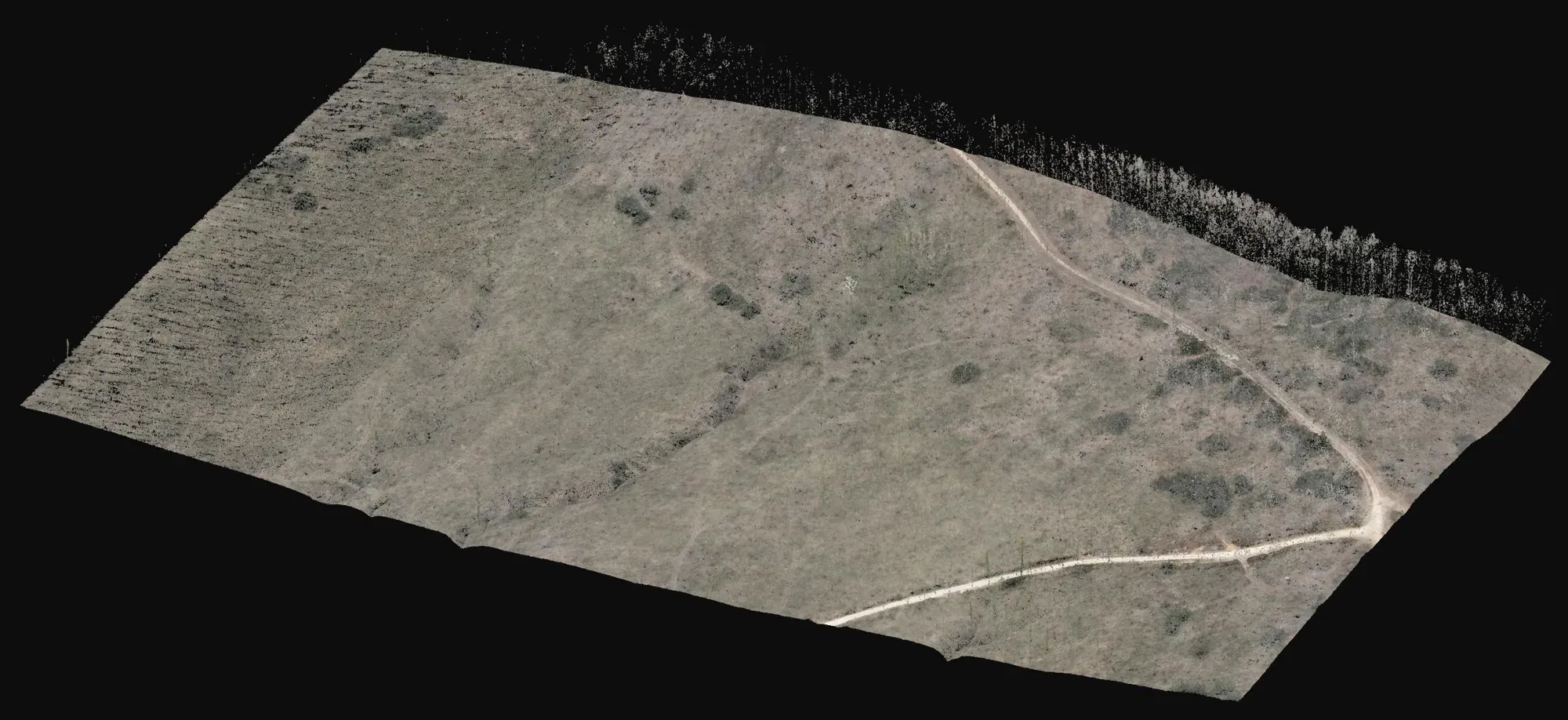Oblique view of the LiDAR point cloud