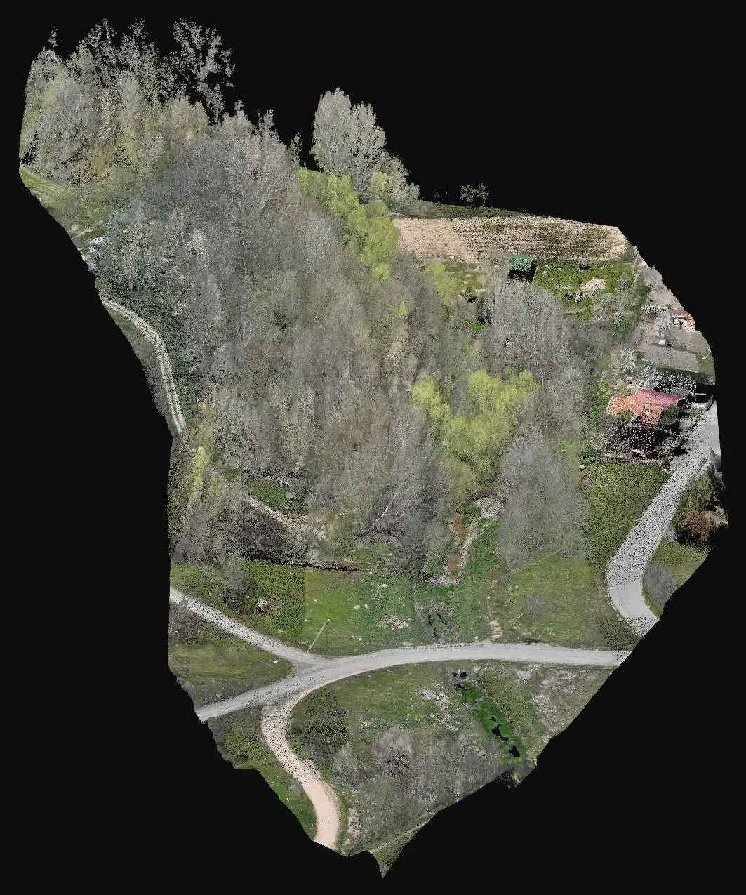 Oblique view of the LiDAR point cloud