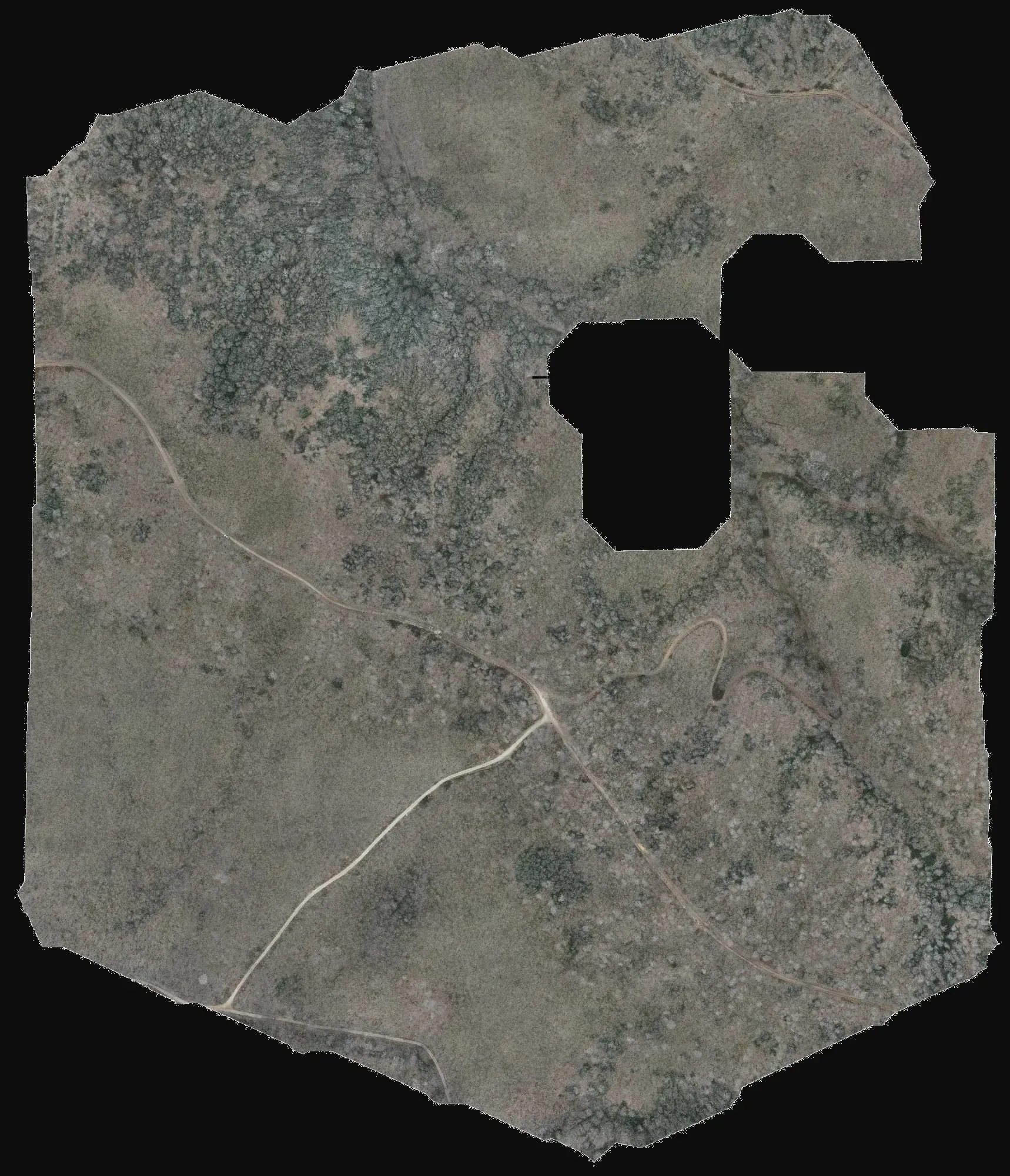 Drone orthophoto
