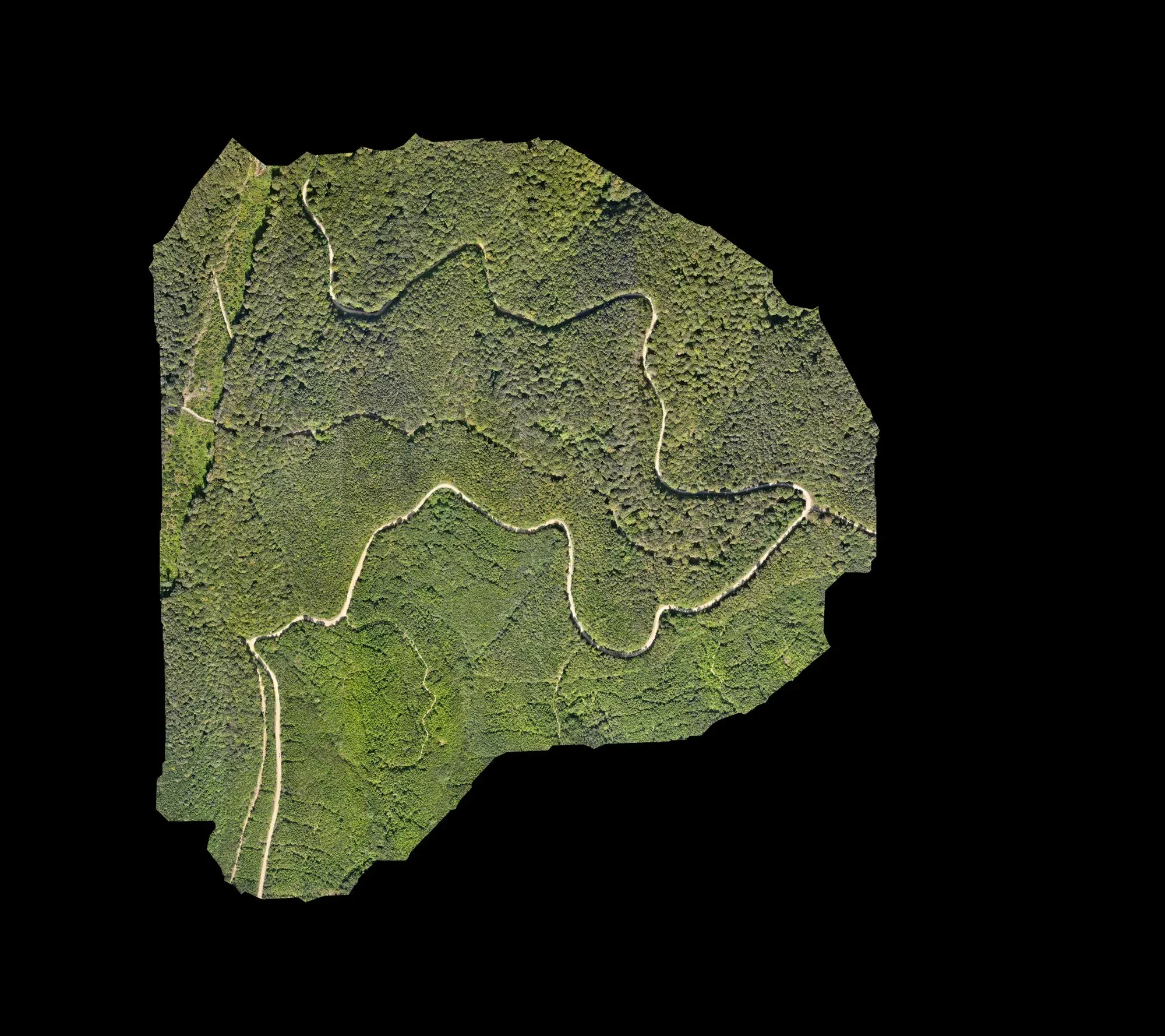 Drone orthophoto