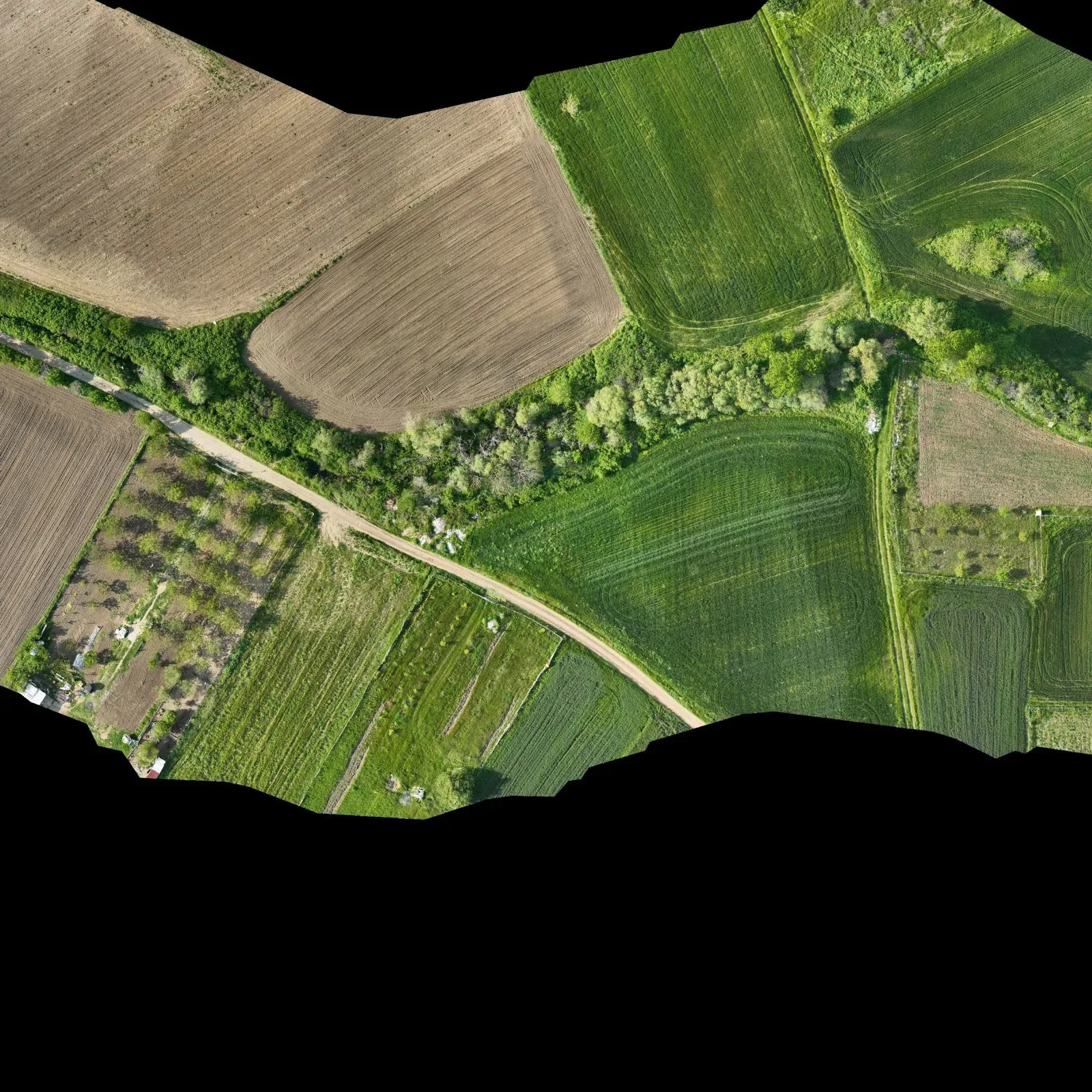 Drone orthophoto